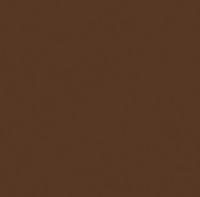 PHAN & CO Brow Stain