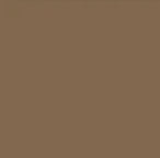 PHAN & CO Brow Stain