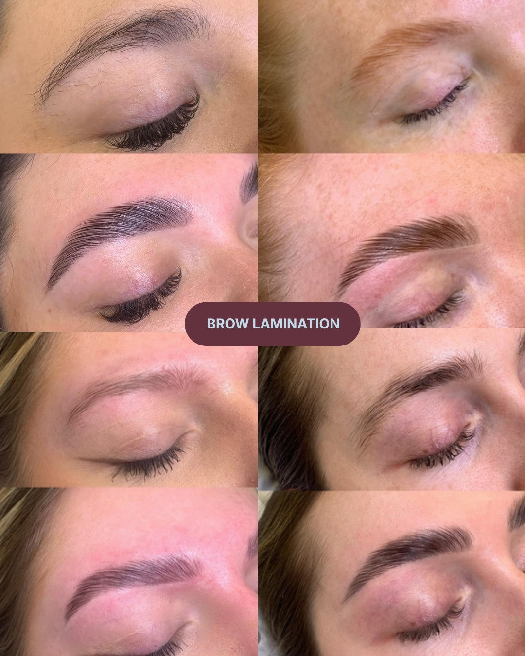 Brow lamination results by Lucy Taska