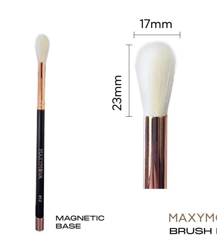 MAXYMOVA BRUSH SET & MAGNETIC BASE