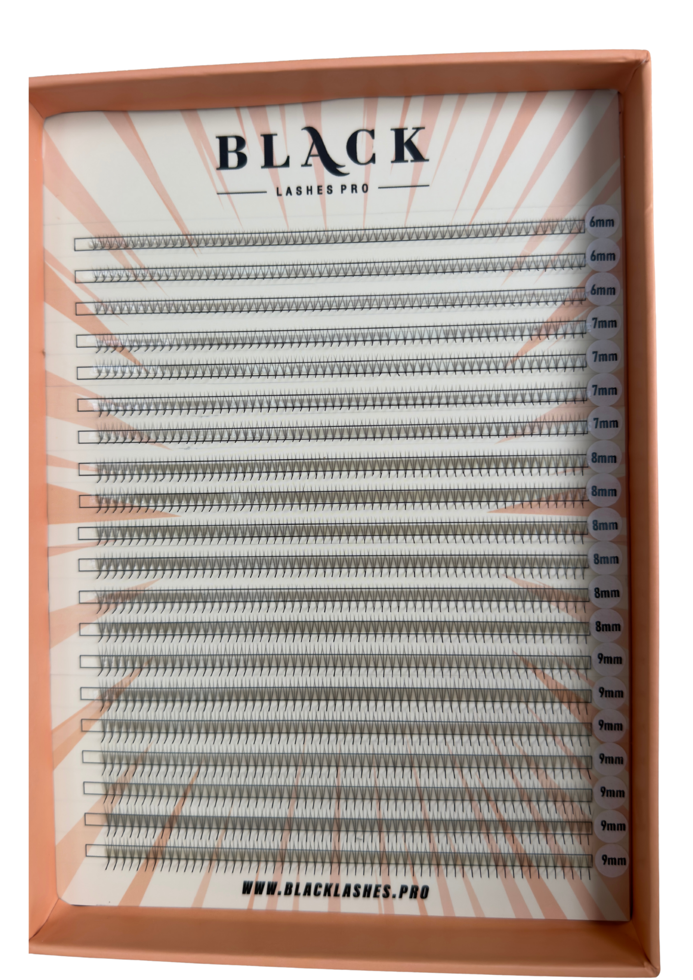 BLACK LASHES PRO | PRE-MADE VOLUME LASHES