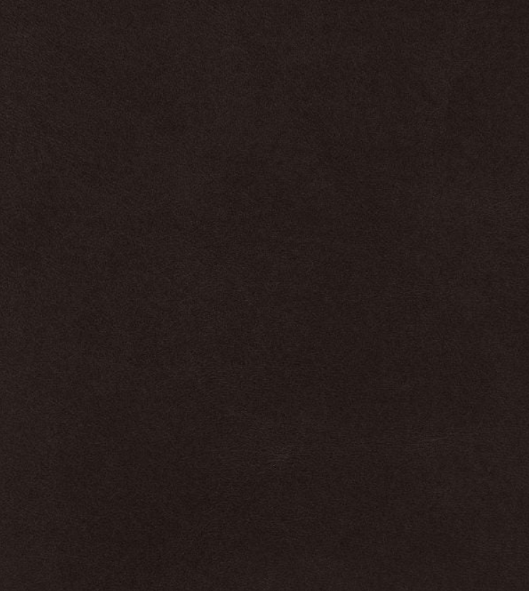 PHAN & CO Brow Stain