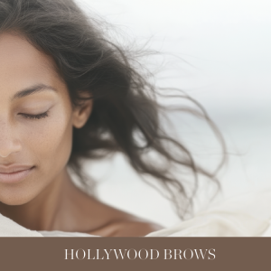 Hollywood Brows